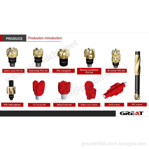 Oil Drill Bit